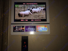 廣東湛江日?qǐng)?bào)社采購(gòu)艾維圖20臺(tái)32寸一拖三廣告機(jī)